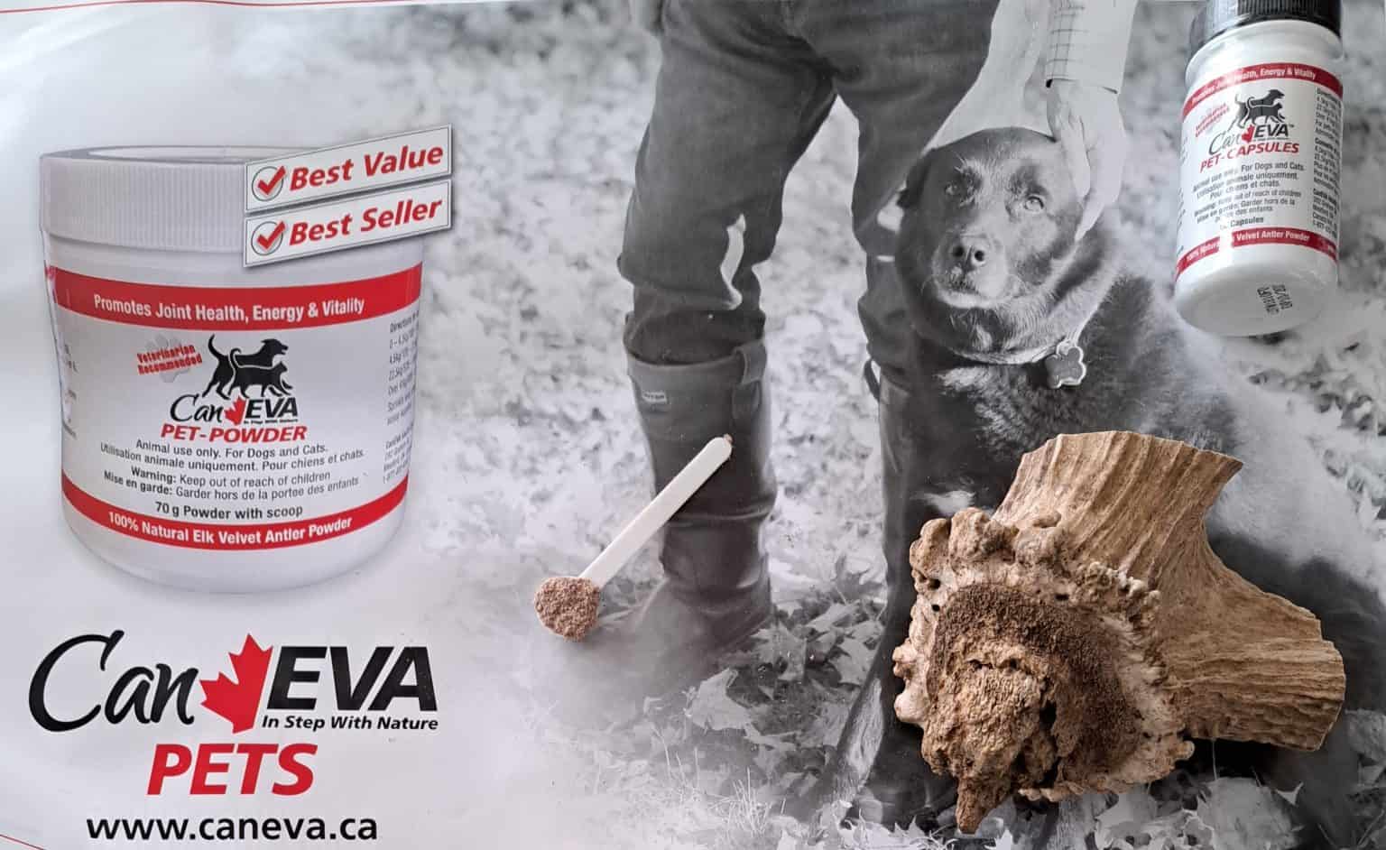 Elk Velvet Antler Powder vs. Hark Elk Antler Why they are not the